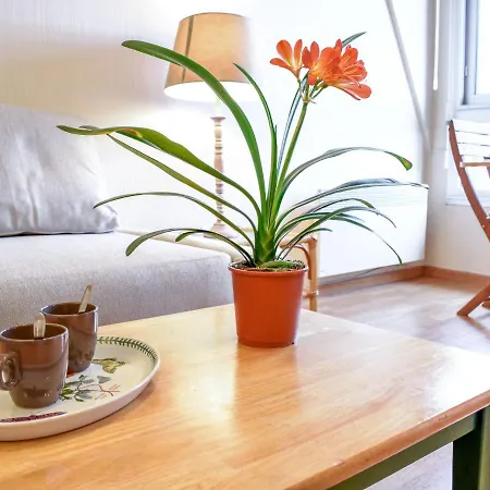 Le Polo By Interhome